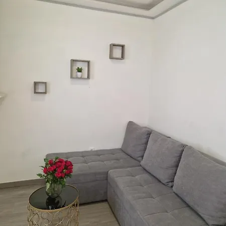 Raccoon Ae1591 Apartament Split